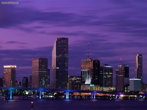 Miami Nights Florida